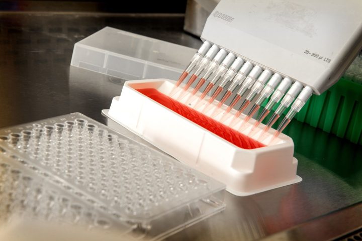 Naukowiec wykonujący eksperyment w laboratorium biologii molekularnej